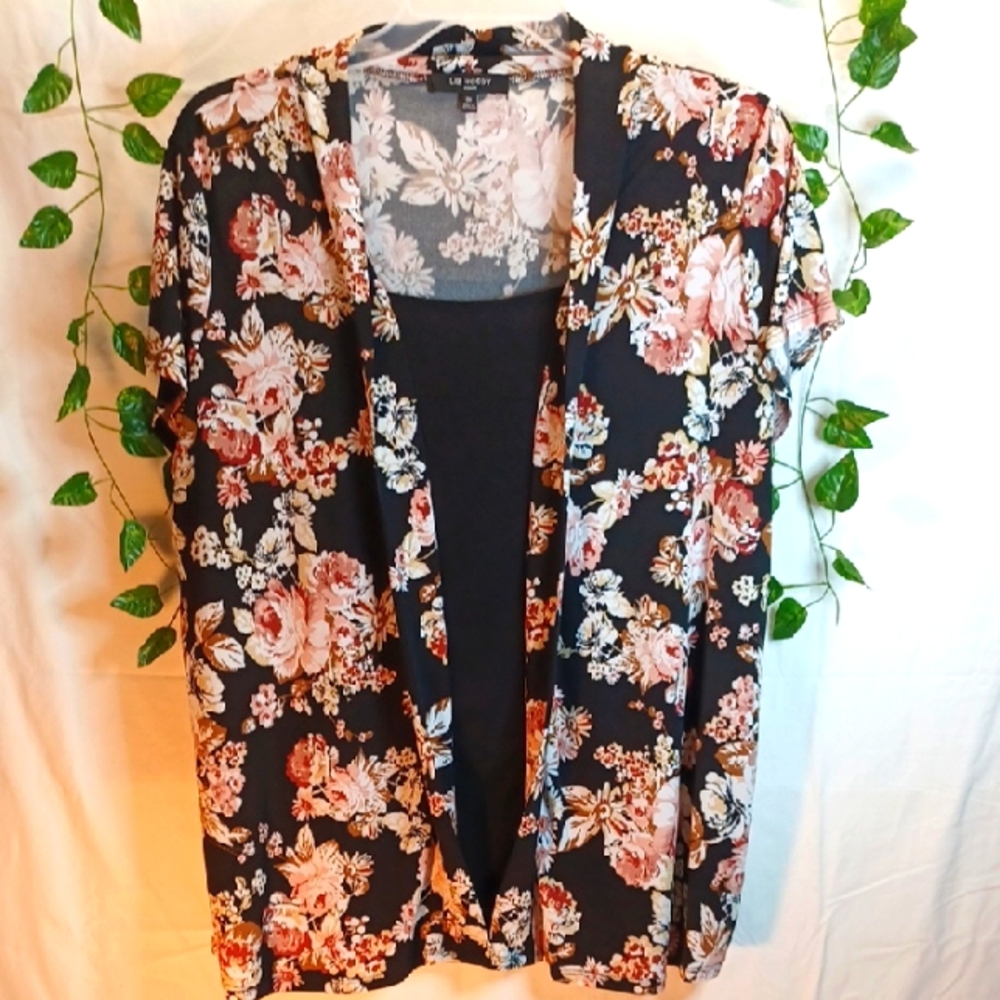 Flattering Liz McCoy Top. Beautiful Layered Look all in One!! Women's 3X. EUC!